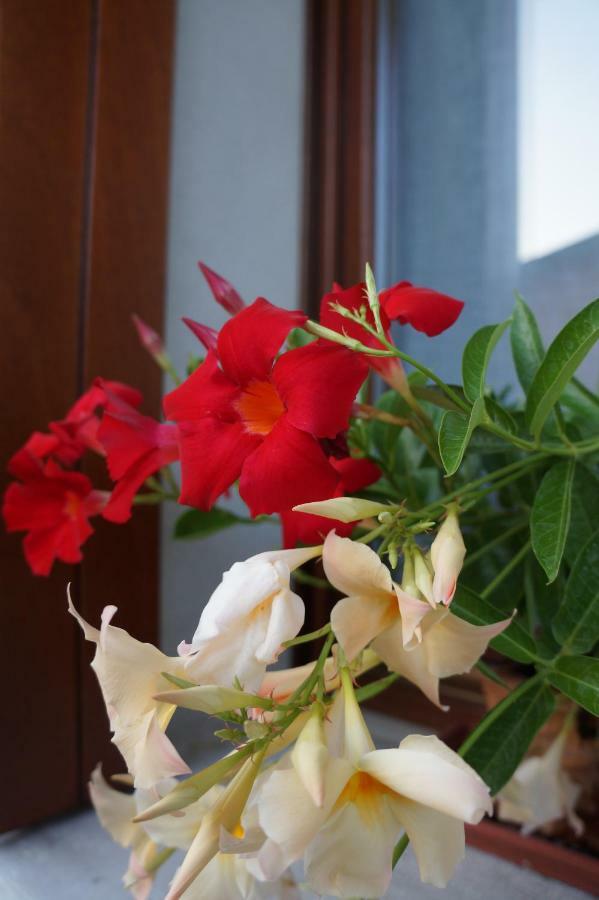 La Brigata Apartments Suite Room Cavallino-Treporti Buitenkant foto